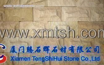 TSH-MGS14 黄砂岩